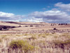 Cereal steppes (Spain)