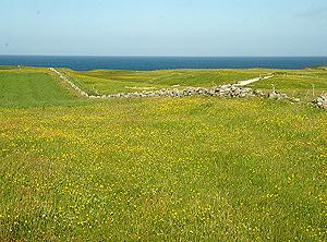 Scotland Machair