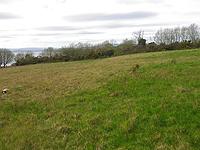 Habitat Euphydryas aurinia