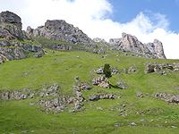 Habitat Euphydryas aurinia